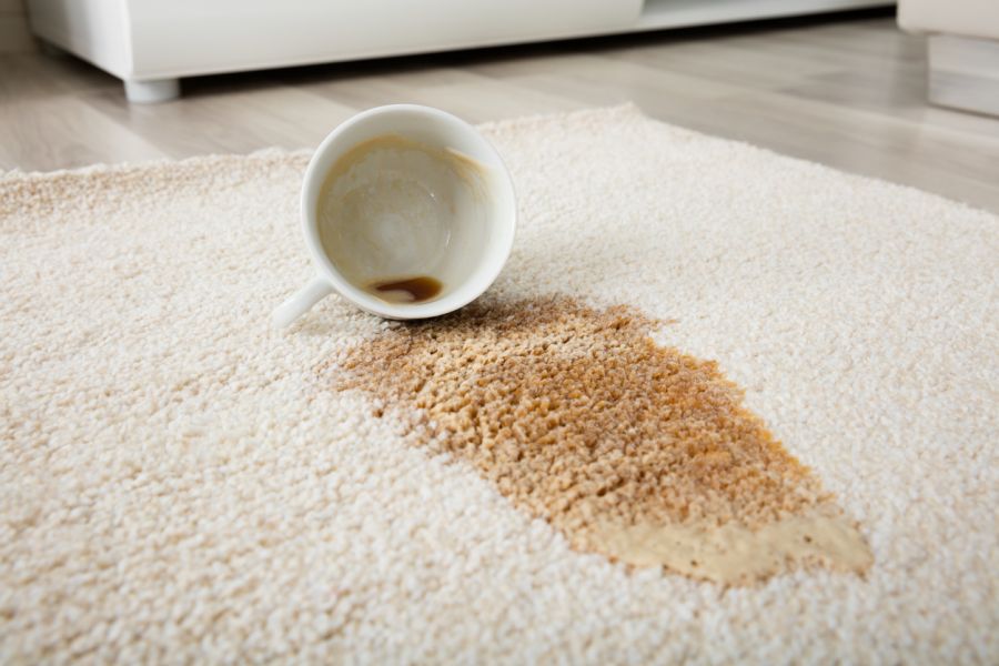 Carpet Stain Removal by Dr. Bubbles LLC
