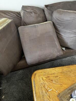 Before & After Sofa Cleaning in Denver, CO (4)