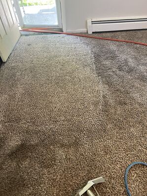 Carpet Cleaning in Denver, CO (4)